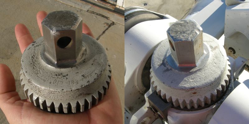 파일:Jesus nut.jpg